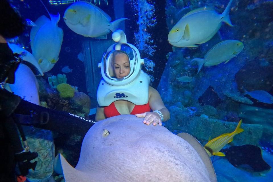 EB GLOBAL TRAVELS
