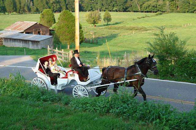 Classic wedding ride