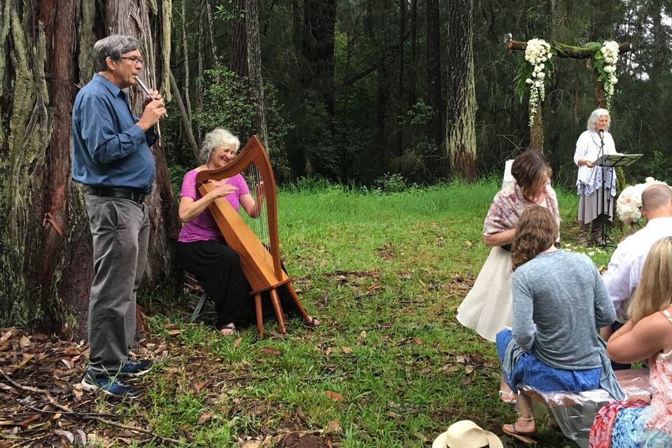 This was an outdoor wedding in Ahualoa on the big island of Hawaii. For this wedding we provided a prelude, a processional and recessional. Due to the remote location we used harp and pennywhistle.