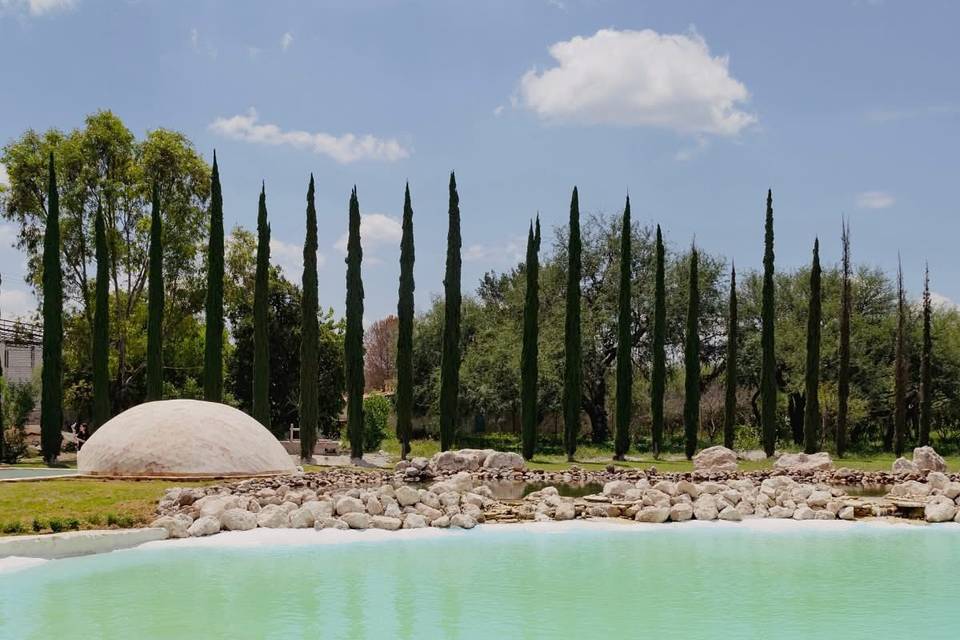 Bio-pool