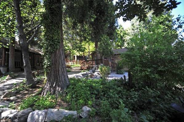 Pond with waterfall adds to the mountain ambiance.