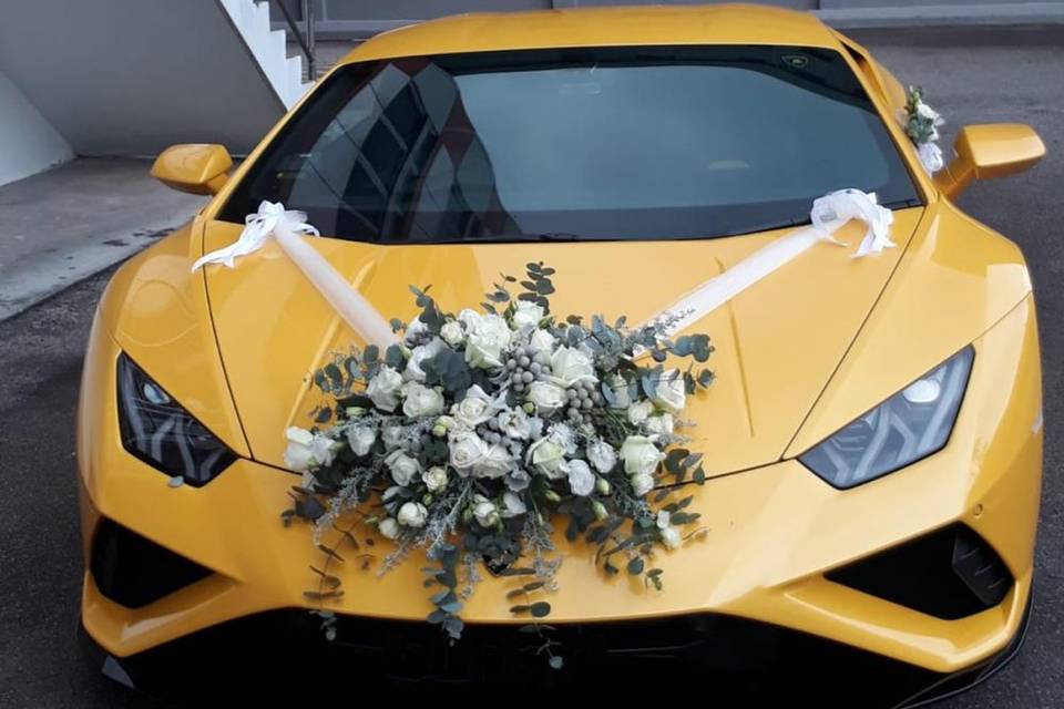 Lamborghini