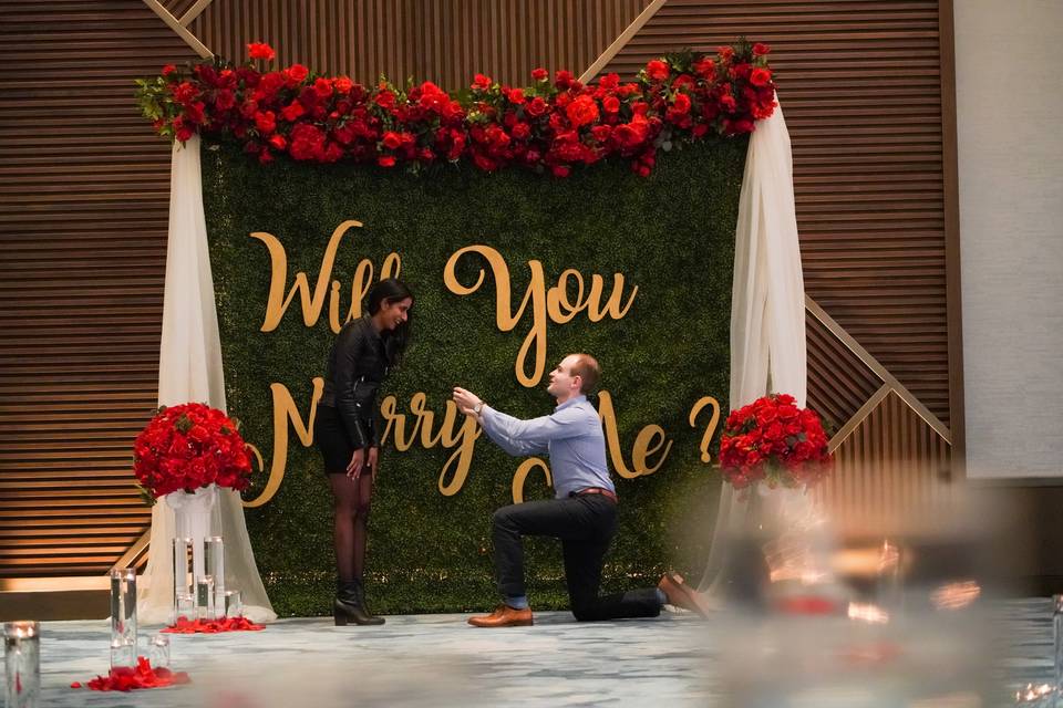 Proposal