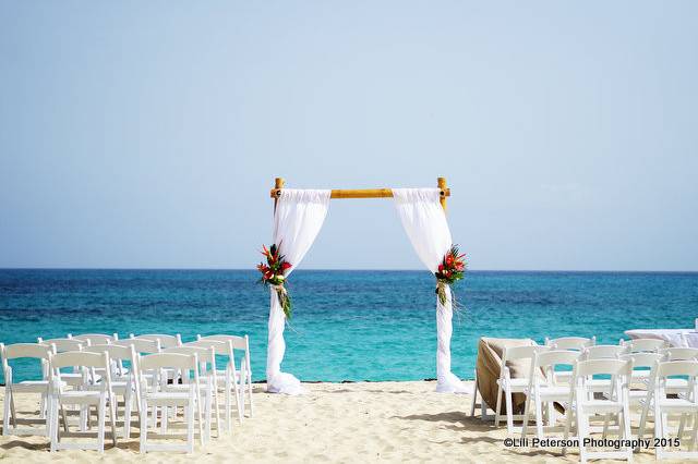 Dreamy Weddings and Tours Inc