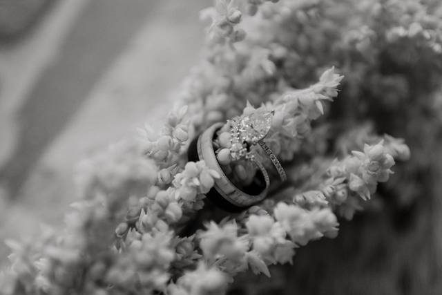 Newleyweds