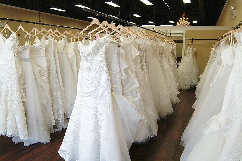 Seven Veil Lengths: Which Is Best For Your Dress? - Darianna Bridal & Tuxedo