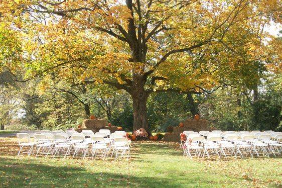 Wedding ceremony stage​