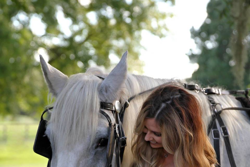 White Horse Ranch Venue