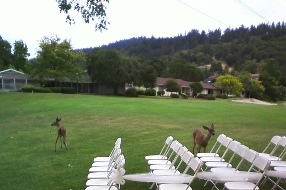 Outdoor wedding ceremony setup