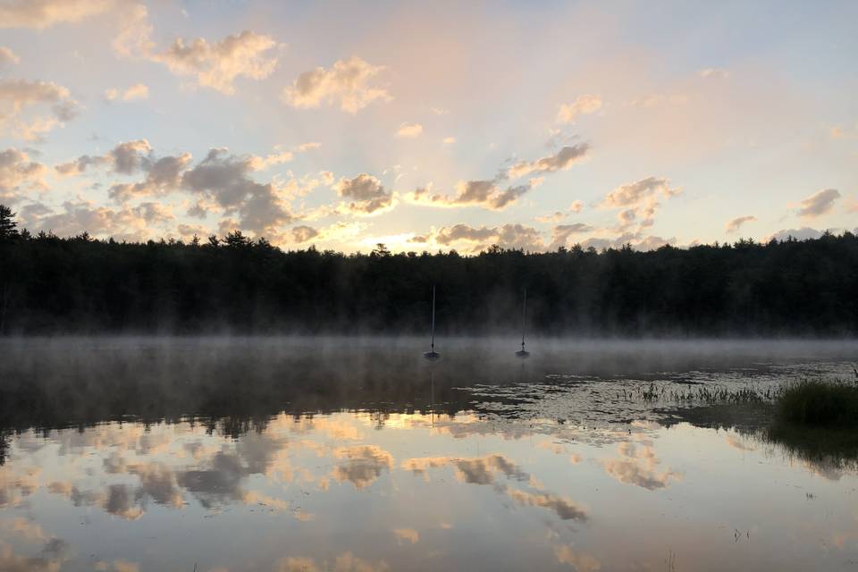 Forest Lake Camp