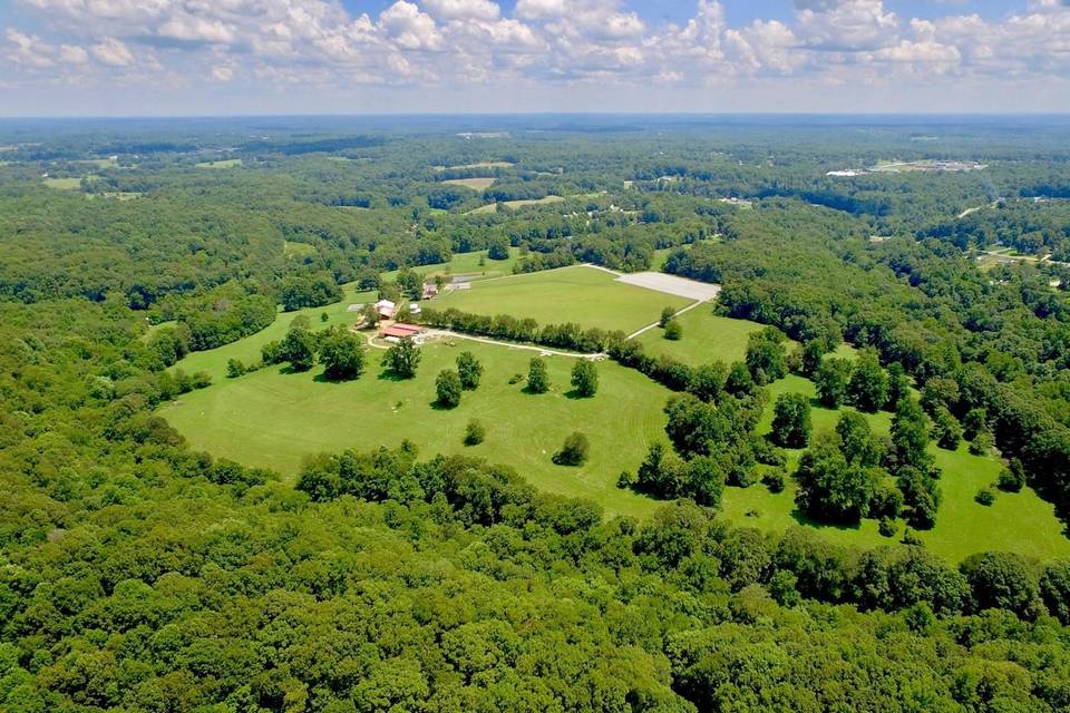 Aerial view of woods