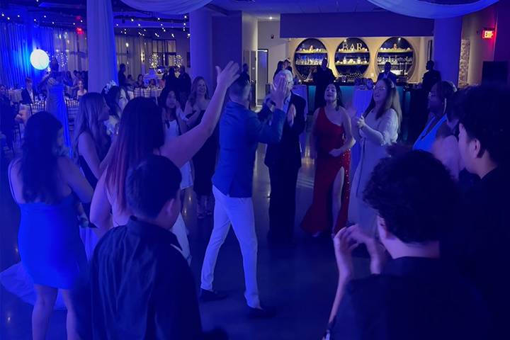 Wedding DJ reception