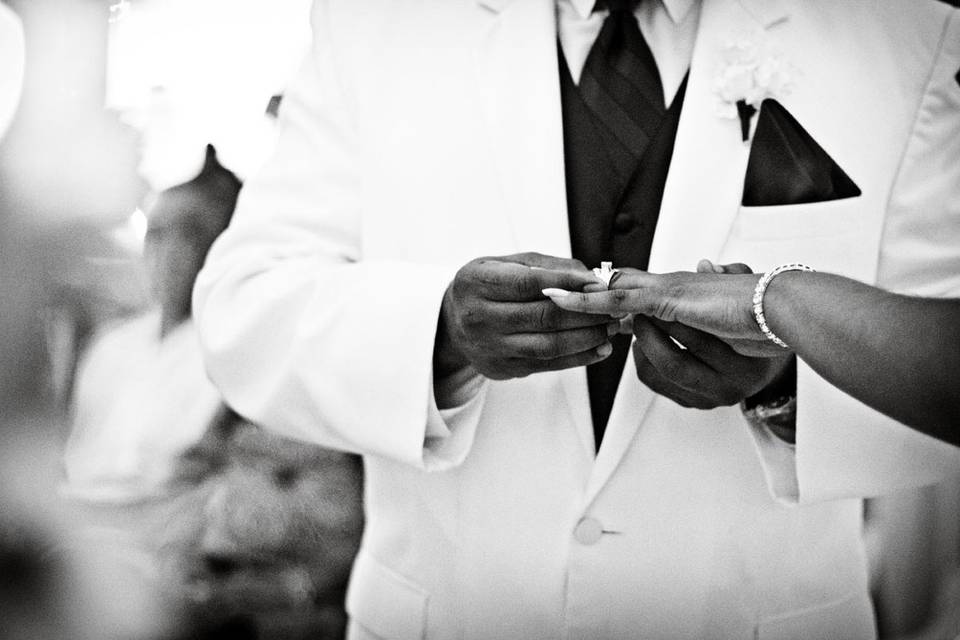 Will Bridges Photography