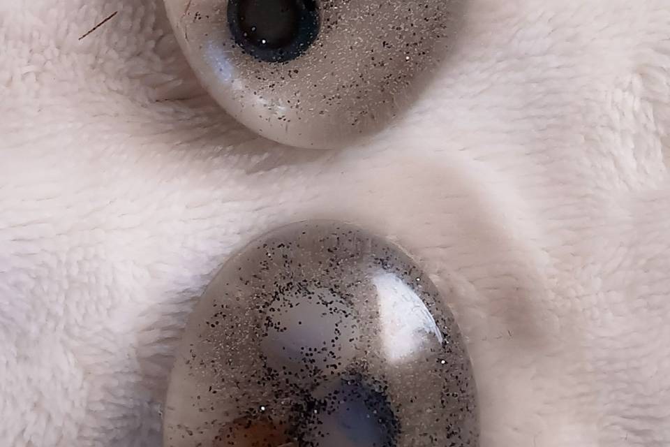 1000011680.jpg
