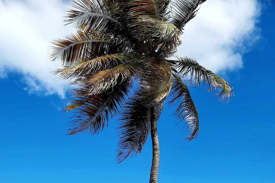 Condado Beach | San Juan, PR