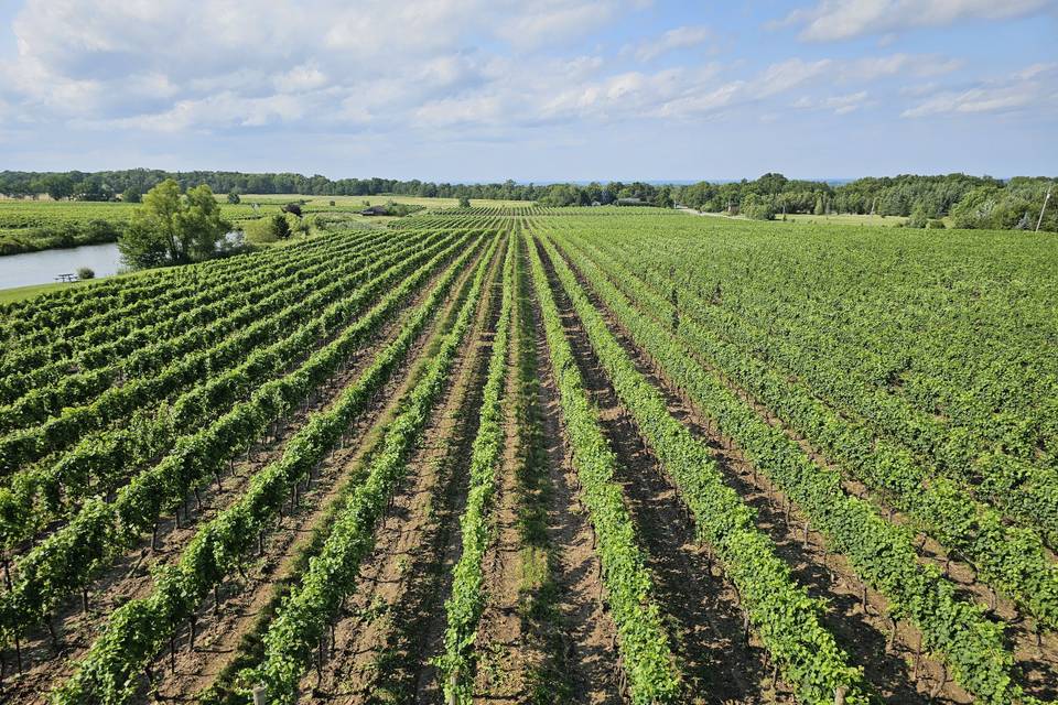 Ontario Wine Country