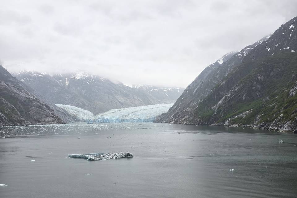 Dawes Glacier | Alaska