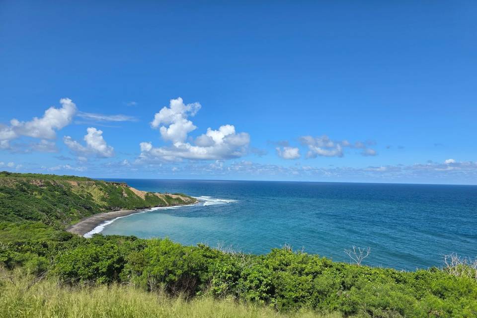 St. Kitts