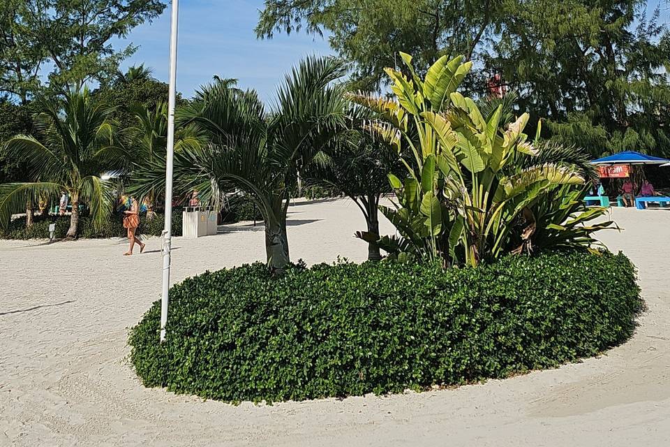 Bahamas