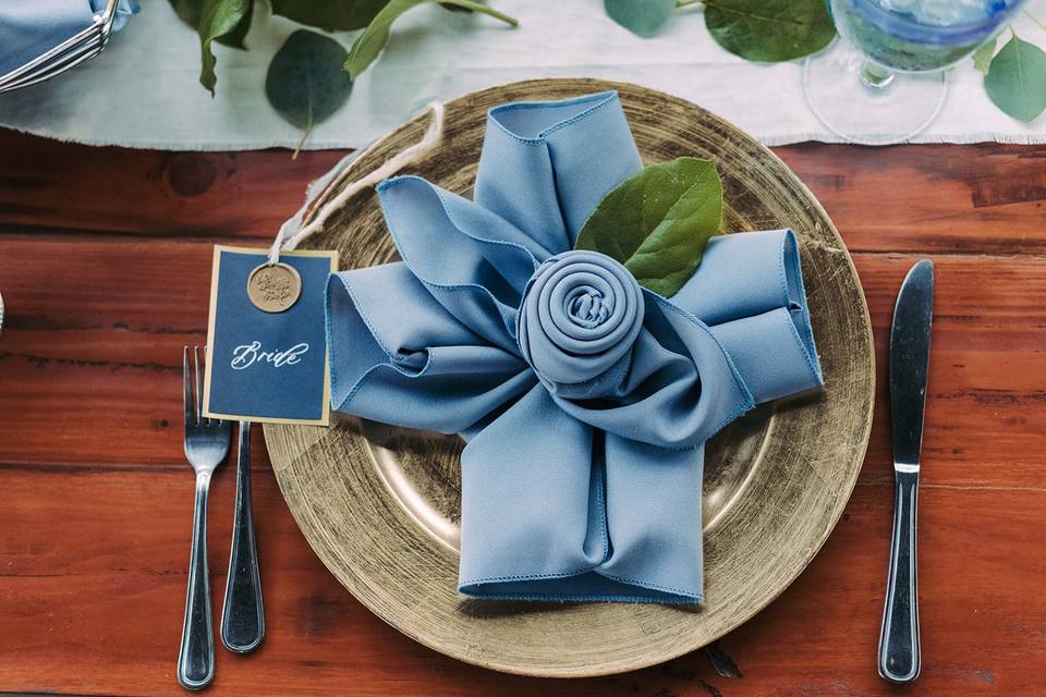 https://cdn0.weddingwire.com/vendor/824654/3_2/960/jpg/dusty-blue-polyester-napkin-and-gold-charger-plates-mr-mrs-archer-photography_51_456428-161088720148416.jpeg