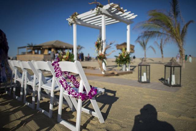 Unique driftwood and tropical arrangements