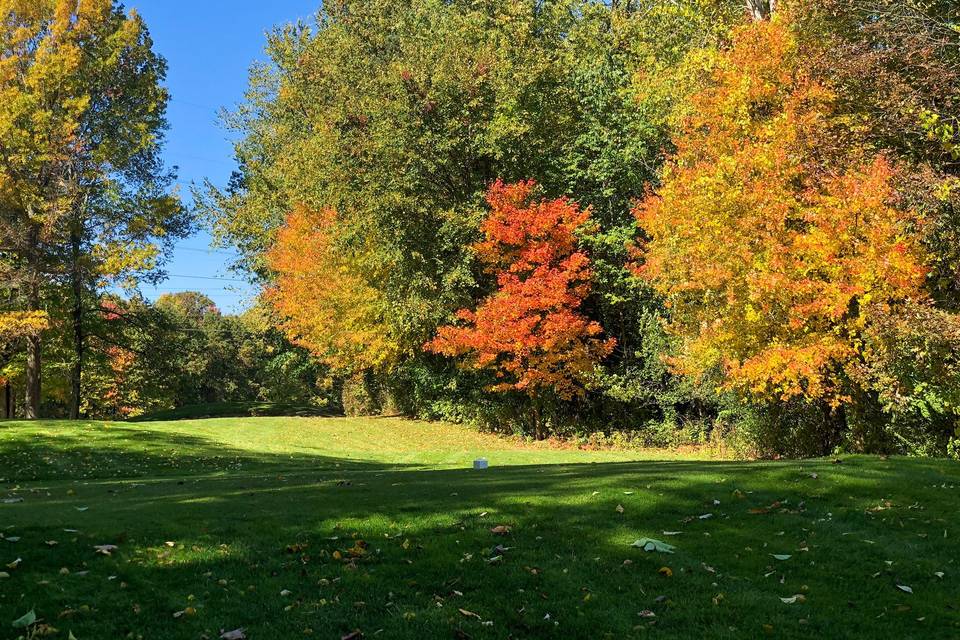 Fall Colors on the Course