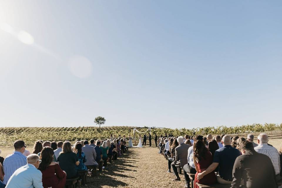 Thicket Hill Vineyard & Winery