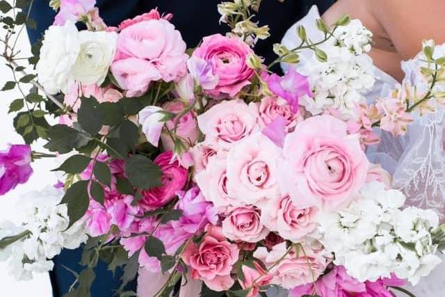 Pink flowers