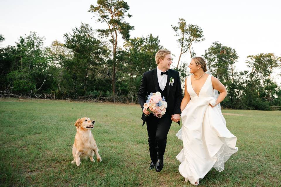 Wedding Bending Branch