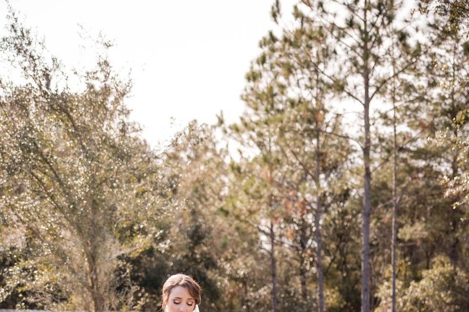 Winter Wedding Deltona