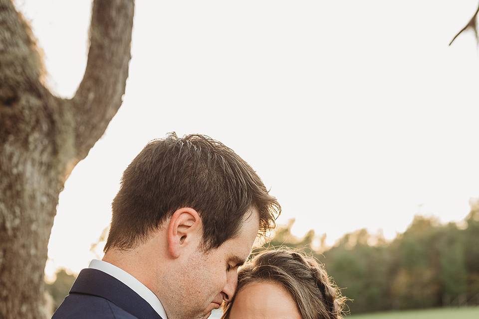 Wedding Bending Branch