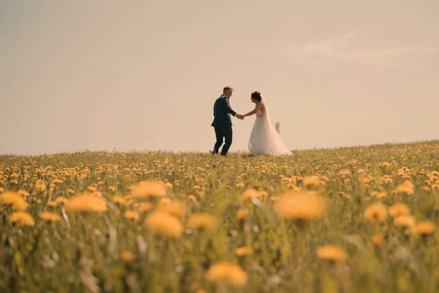 Flower field
