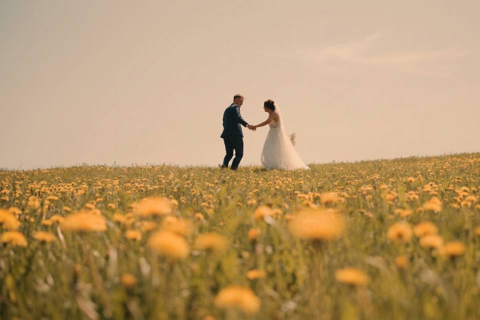 Flower field