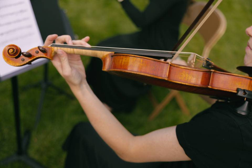 Golden Hour Strings