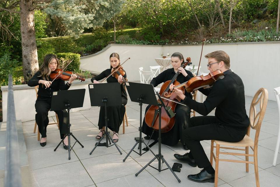 Golden Hour Strings
