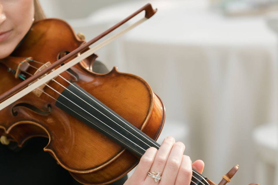 Golden Hour Strings