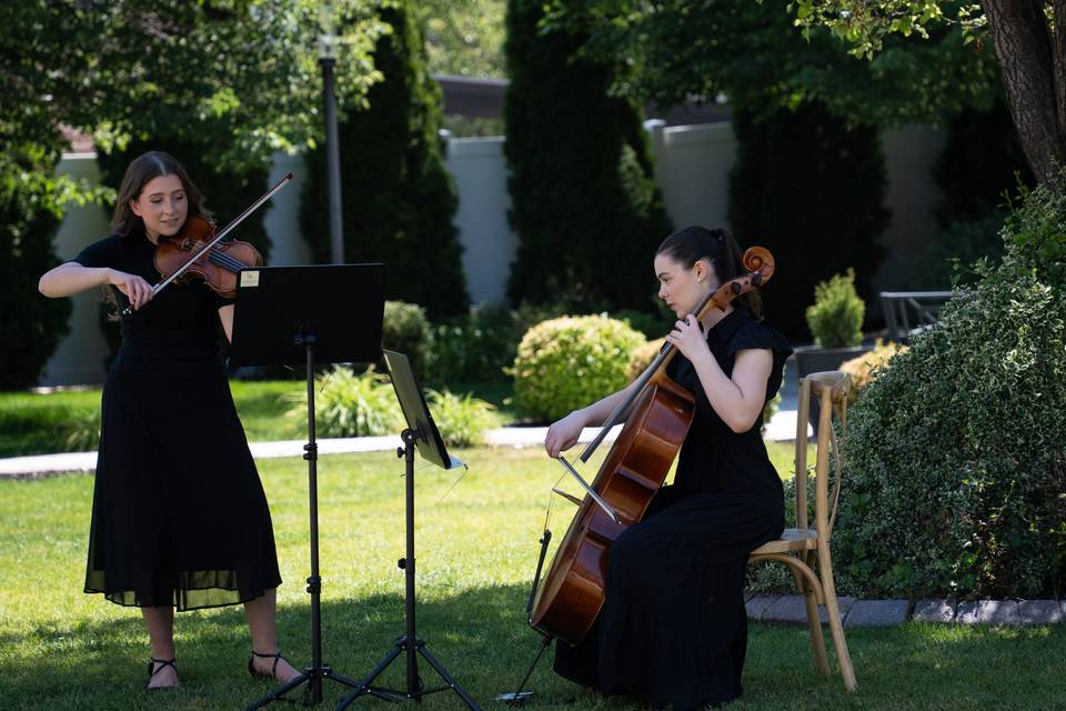 Golden Hour Strings