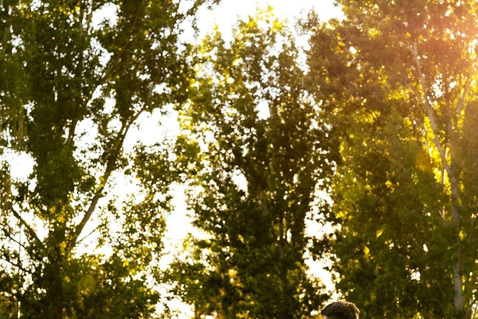 Golden Hour Strings