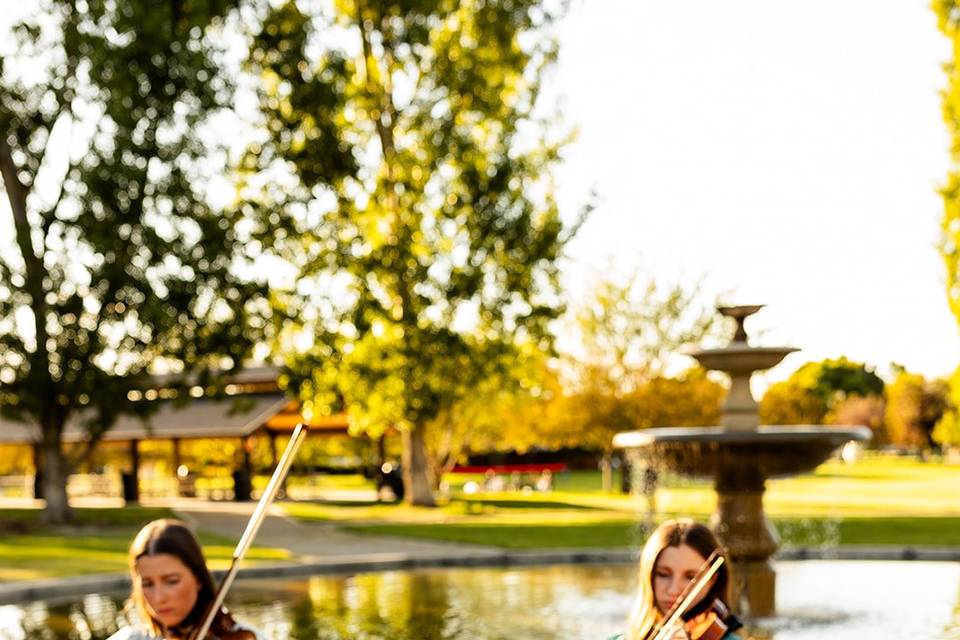 Golden Hour Strings