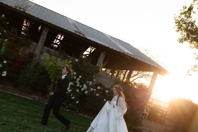 Sunset in the Rose Garden
