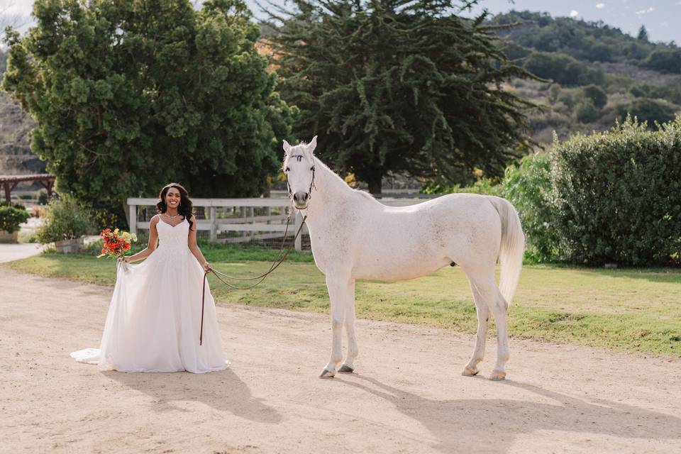 The Ranch at Varian Equestrian
