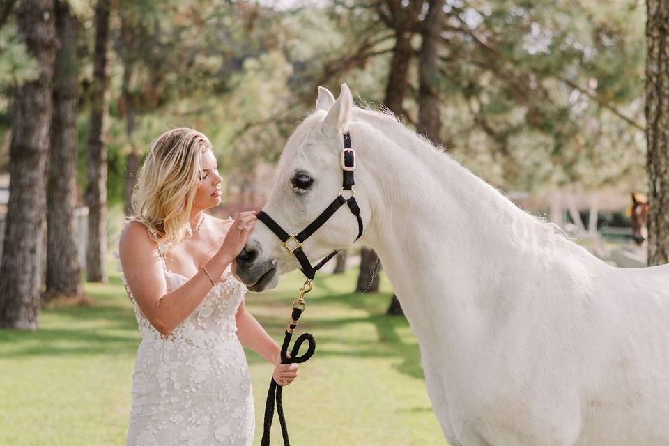 The Ranch at Varian Equestrian