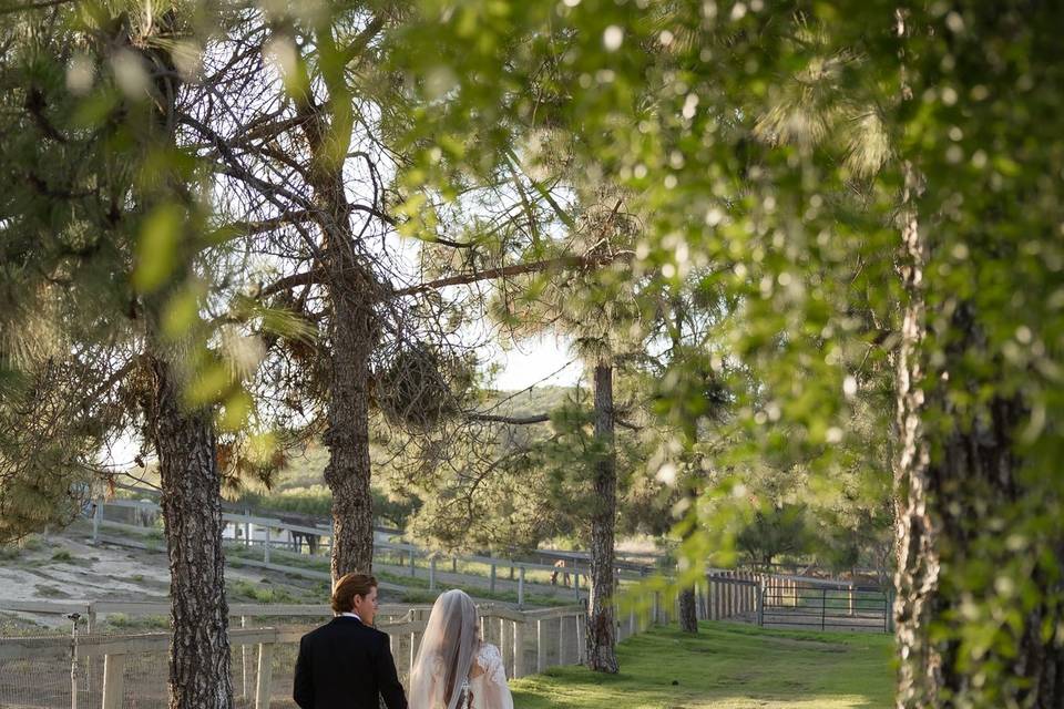 Outdoor Ranch Reception