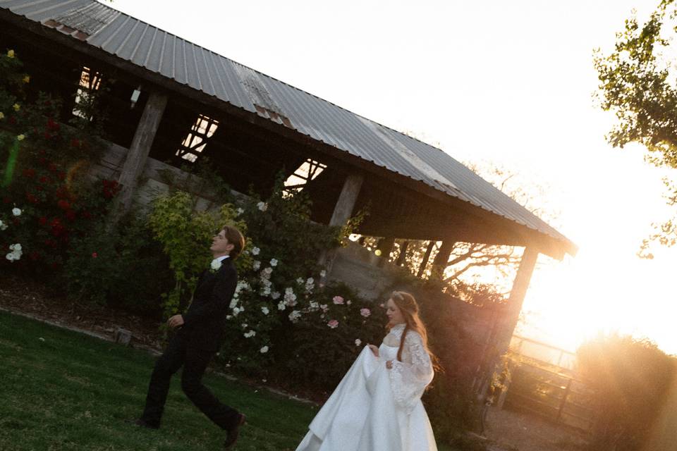 Sunset in the Rose Garden