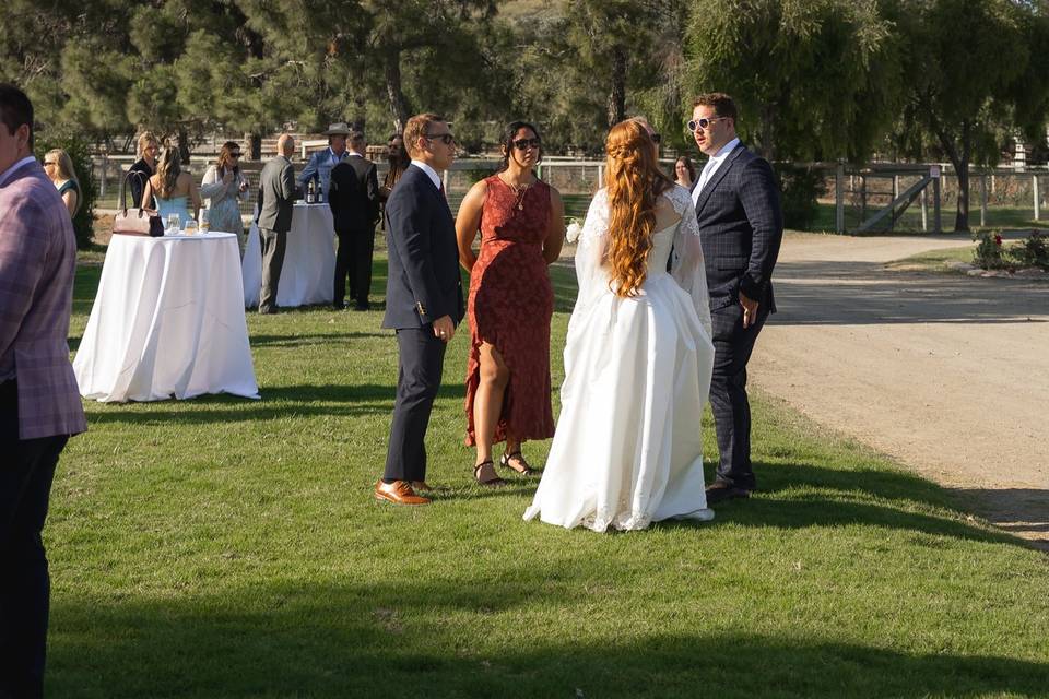 Beautiful outdoor backdrops
