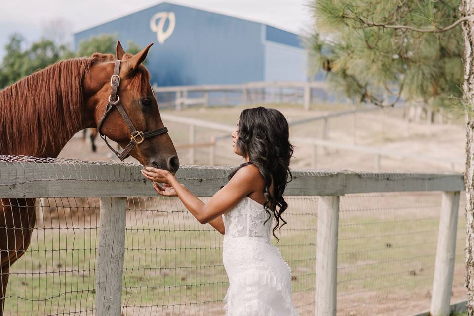 Horse Lovers