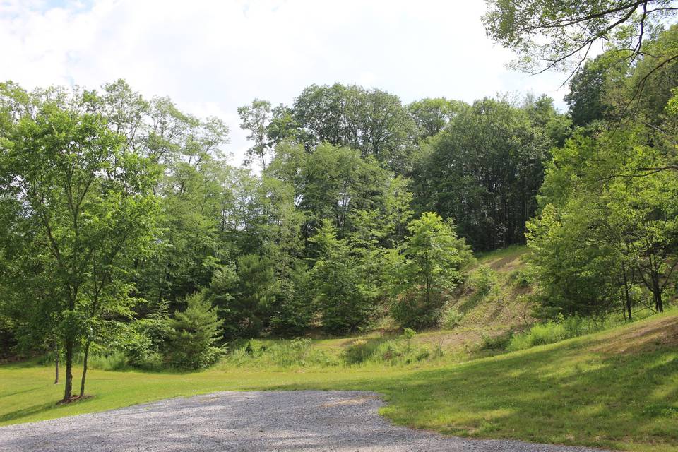 One of the main clearing areas