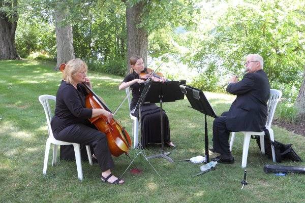 Cello, violin, and flute