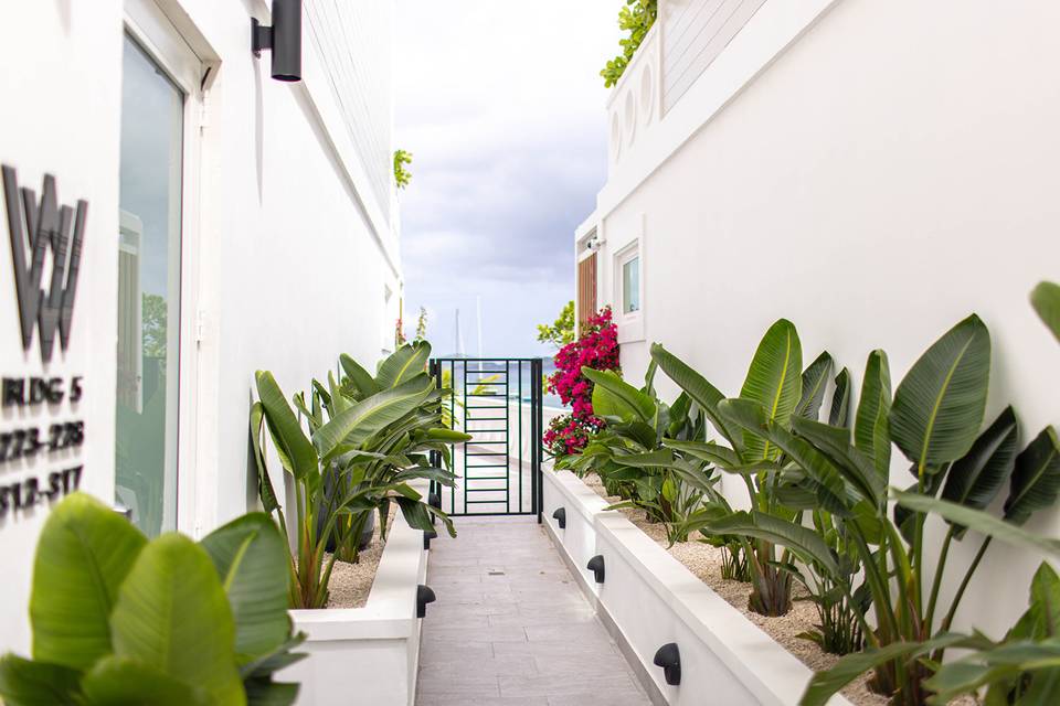 Walkway to Paradise