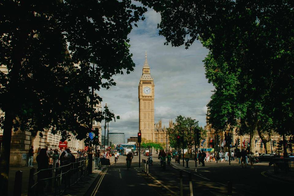 Millies Travel